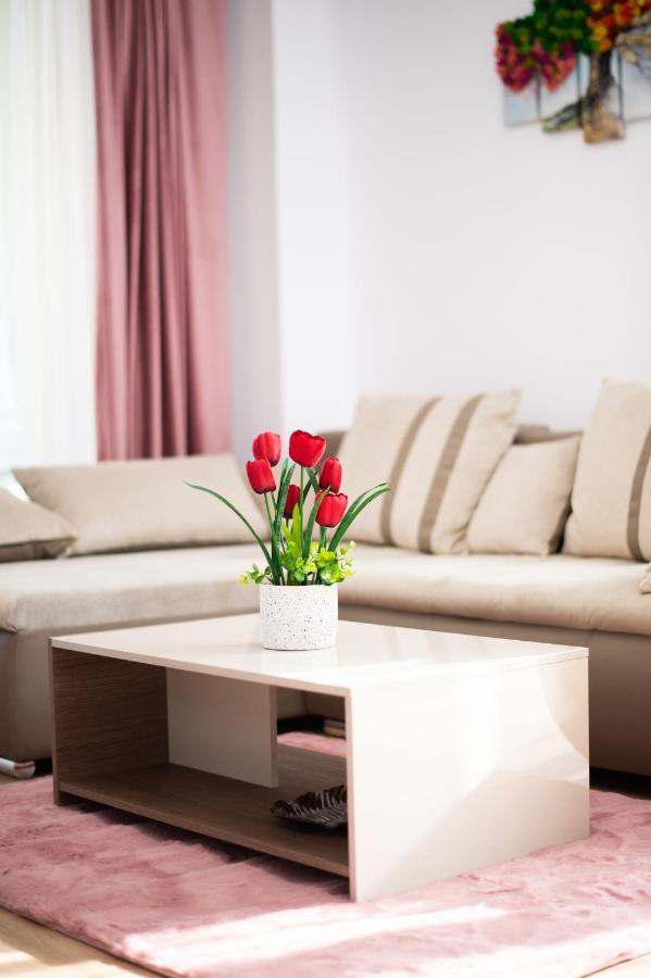 Claseb Apartment تيميشورا المظهر الخارجي الصورة